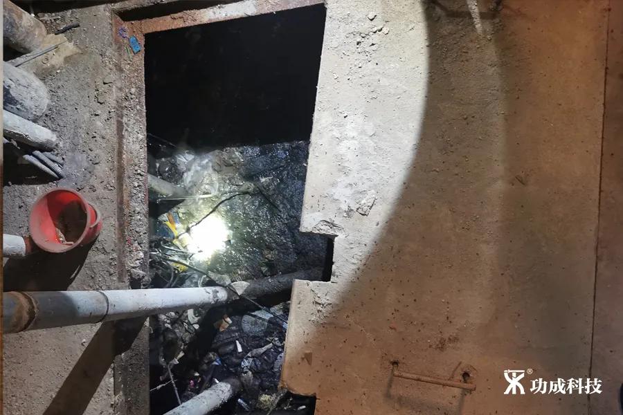 卫生间小虫子蛾蠓怎么来的,卫生间有小虫蛾蚋怎么治