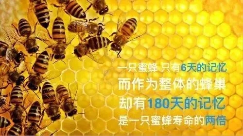 姹介厤甯傚満铻嶈祫鐜扮姸,姹介厤骞冲彴铻嶈祫