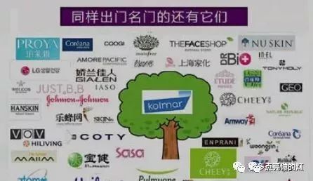 艾多美公司产品介绍,艾多美atom