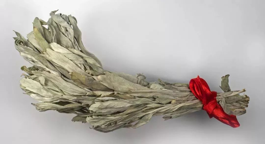 兼具驱湿防瘟养阳的大自然之礼——艾草