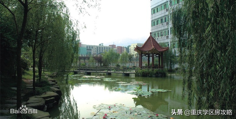 南岸区初中联招上线率,南岸区优质中学