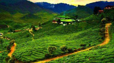 马来西亚旅游景点地图,马来西亚著名景点岛屿