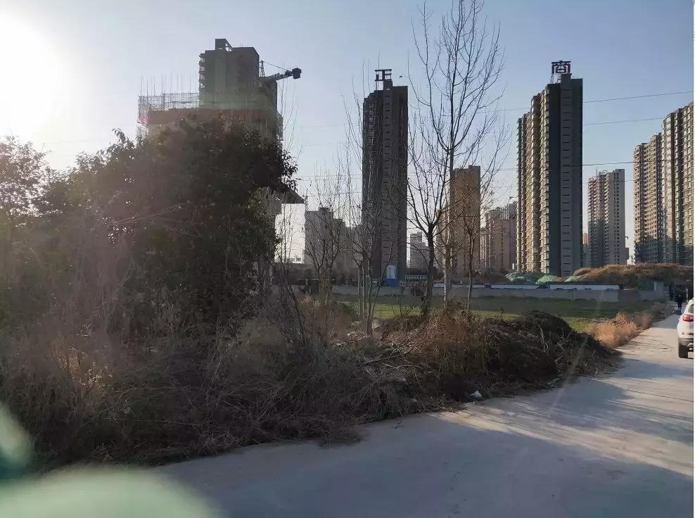 新乡市荣校东路中学规划图,新乡市中心医院东区最新消息