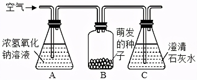 临沂2022生物会考答案,罗庄区生物一模试卷