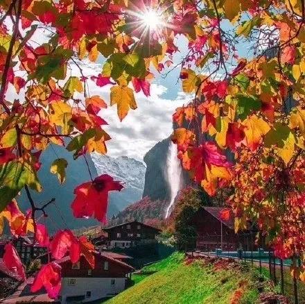 教师节领福利的视频,教师节福利会员