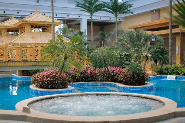 喜报！国信南山温泉斩获多项荣誉！