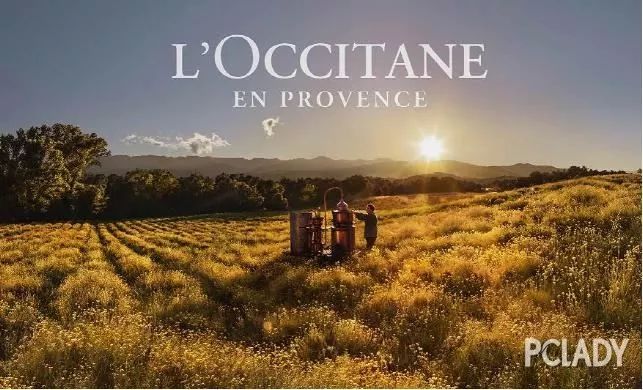 欧舒丹新版蜡菊活颜卸妆油怎么样,欧舒丹蜡菊系列怎么样