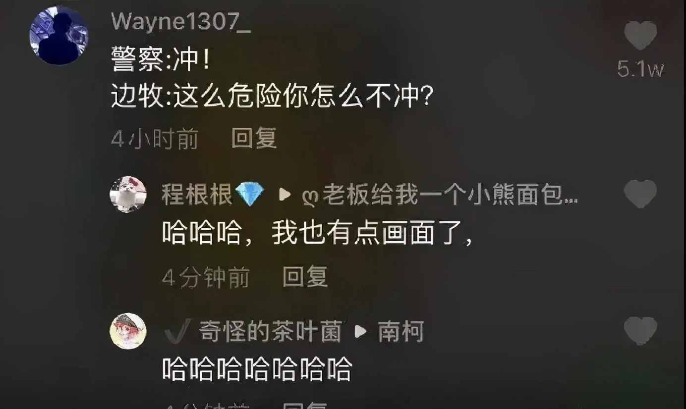 边牧智商第一为什么不做警犬,边牧那么聪明为啥当不了警犬