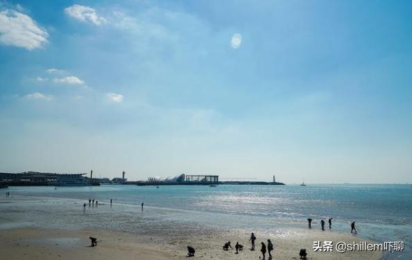 济南和青岛综合实力哪个强,济南青岛城区比较谁更强