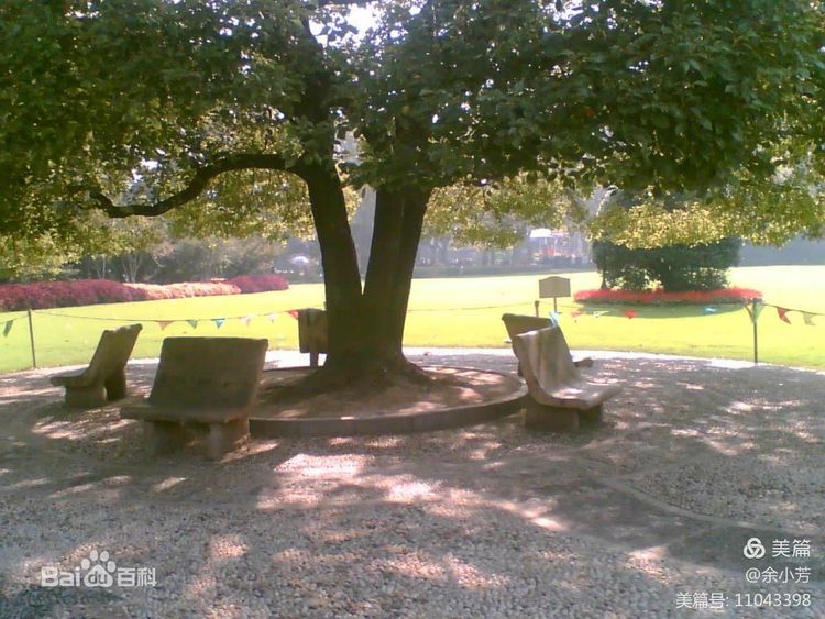 上海中山公园公寓,上海中山公园游玩攻略