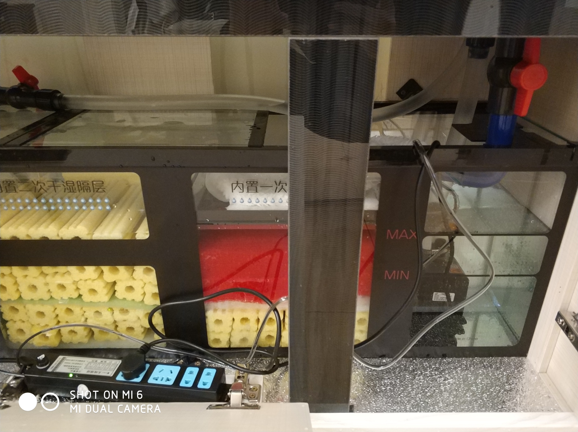 底滤鱼缸里鱼粪排不出去,底滤鱼缸鱼屎吸不走怎么办