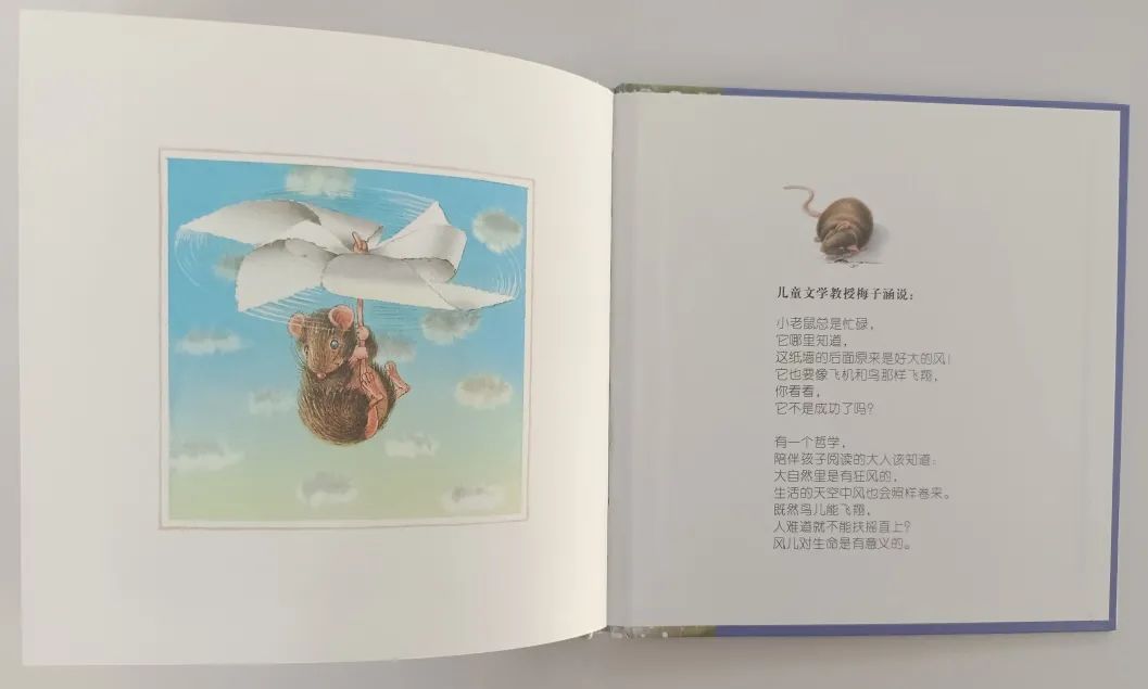 绘本3-6岁经典绘本米老鼠,适合小老鼠的绘本