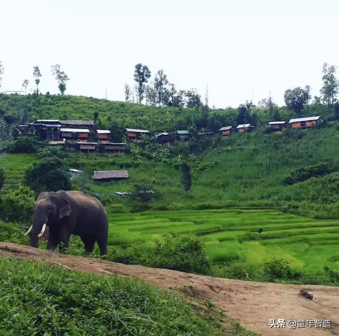 夜半*拍偷**下,成就今年第一部神级纪录片:黑暗下的生命,超乎想象