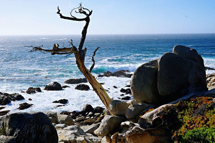 美国德州西部自由行,美国西海岸可以自由航行么