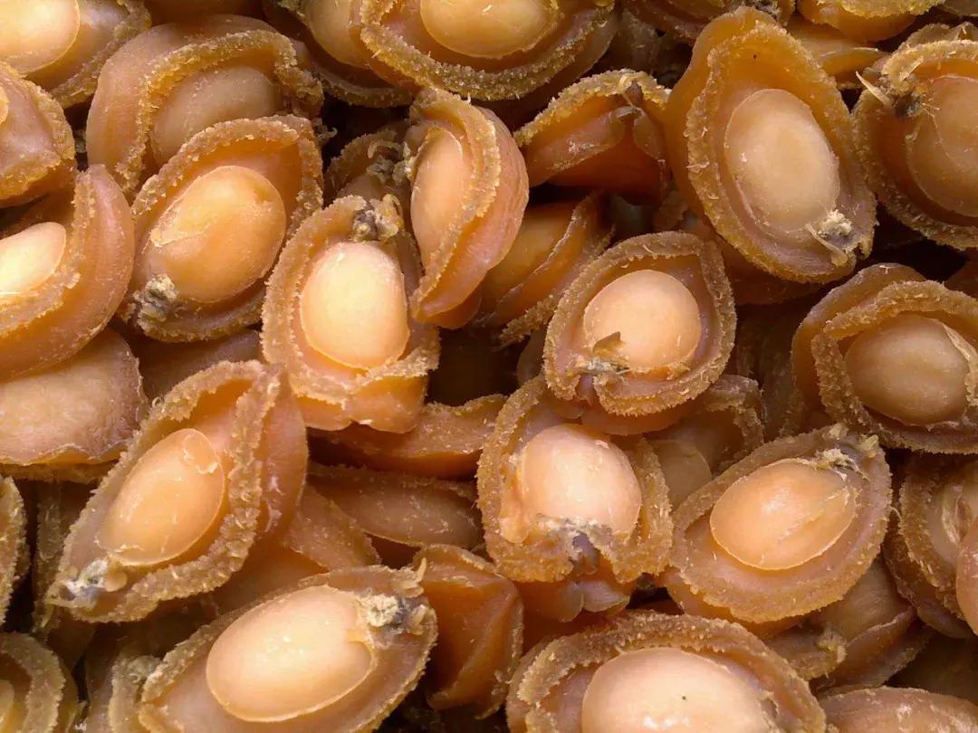 新鲜海味巴沙鱼,海味干货天然海鲜