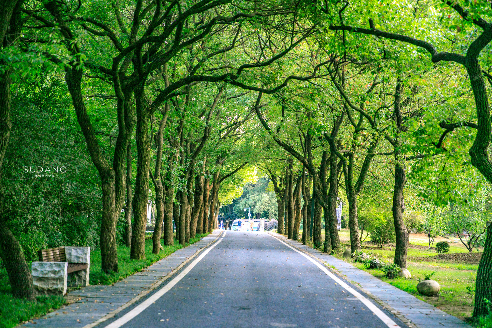 武汉，堪称“世界上最不缺水的城市”，东湖之美更羡煞旁人