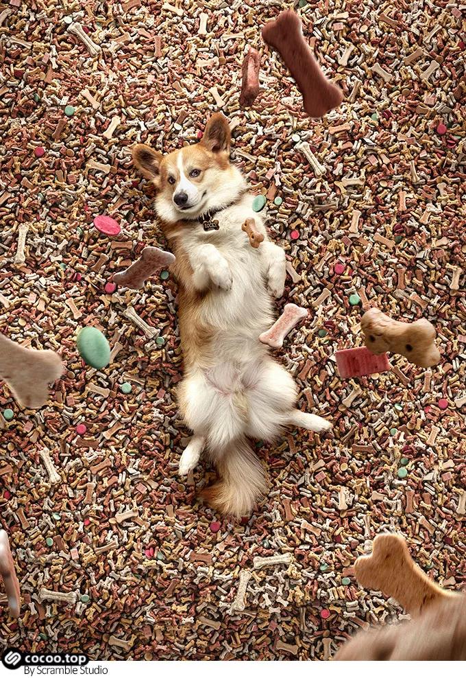 广告语大全及注意事项,广告语夸张法