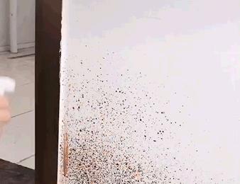 家里墙发霉，别听补漏“忽悠”花冤枉钱，教你一个新方法轻松除霉