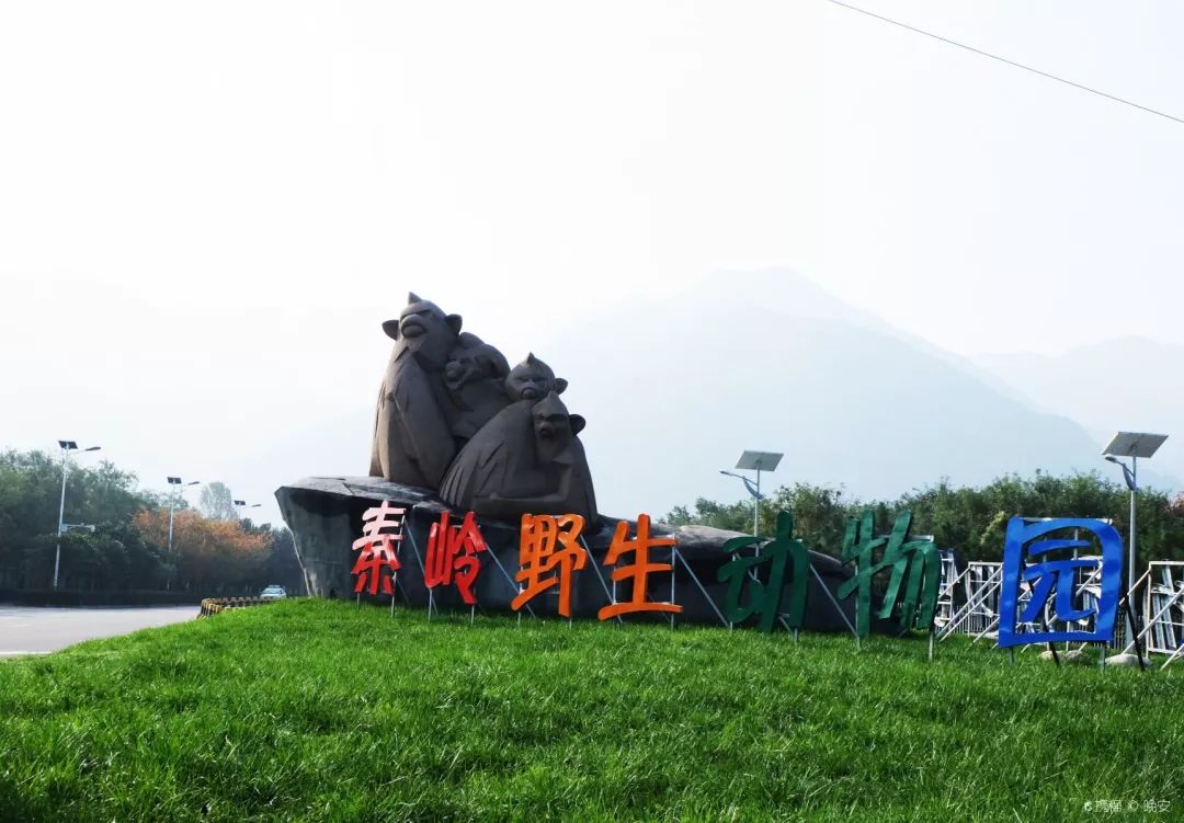 周末游玩优惠票,0元优惠票