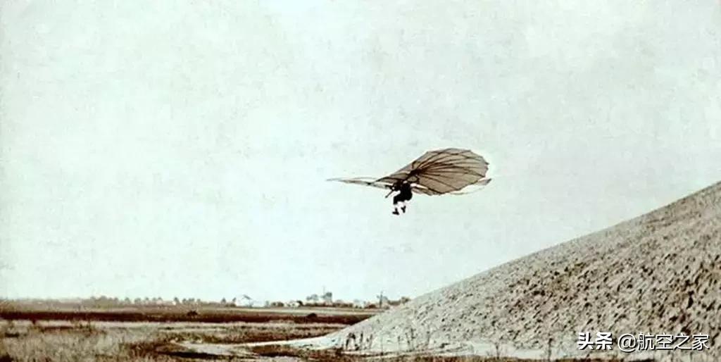 人类发明飞机鸟的飞行方式,科学家是怎么从鸟身上发明的飞机