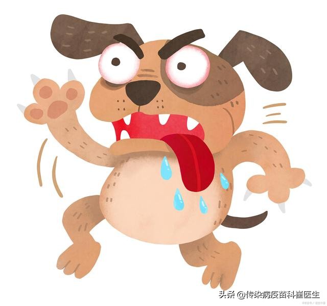 被咬后狂犬病疫苗最佳接种时间,被咬了后期打狂犬病疫苗有用吗