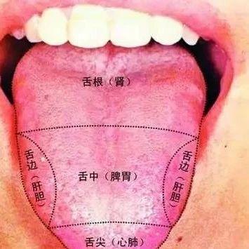 小孩体内有寒又有热怎么调理,小孩体内热怎么调理最快