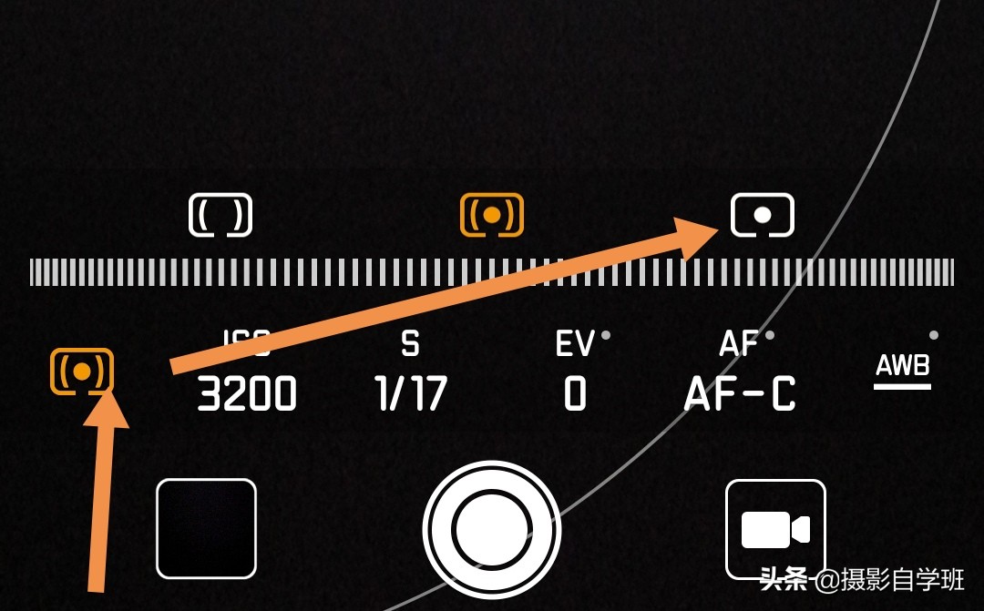 怎么拍出有质感的植物,如何拍出植物特别绿