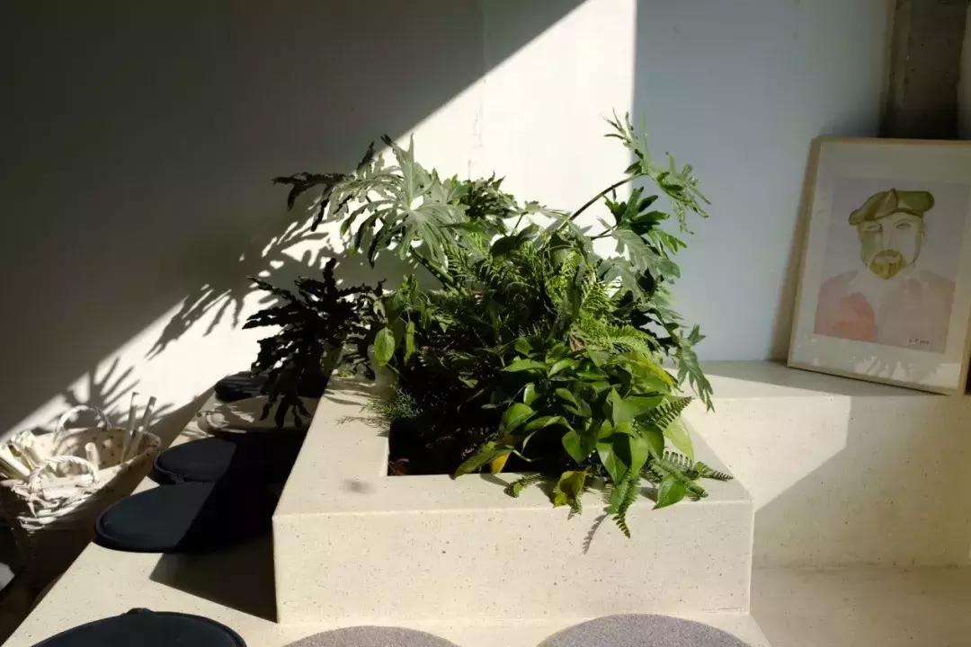 客厅里挂结婚照好不好,结婚照挂在客厅的沙发上面好吗