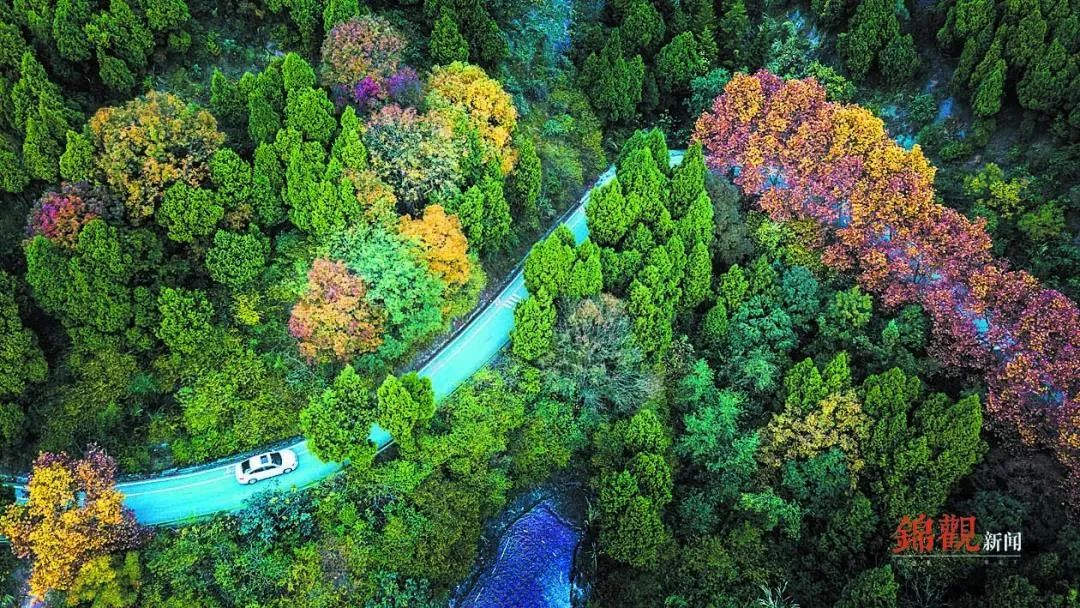 成都超能格斗,成都超能训练营