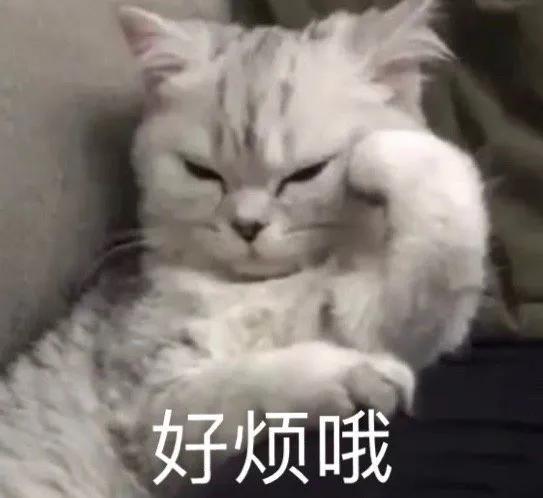 吃瓜沙雕表情包,征服买瓜表情包