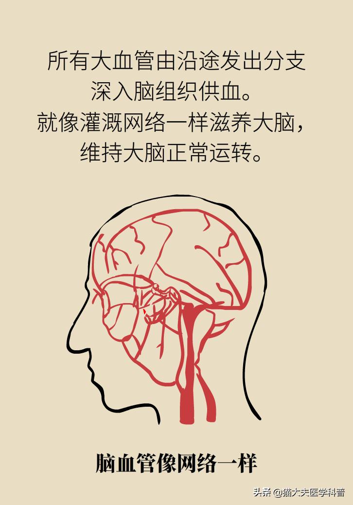 不手术能彻底治好血栓外痔吗,介入治血栓最好的方法