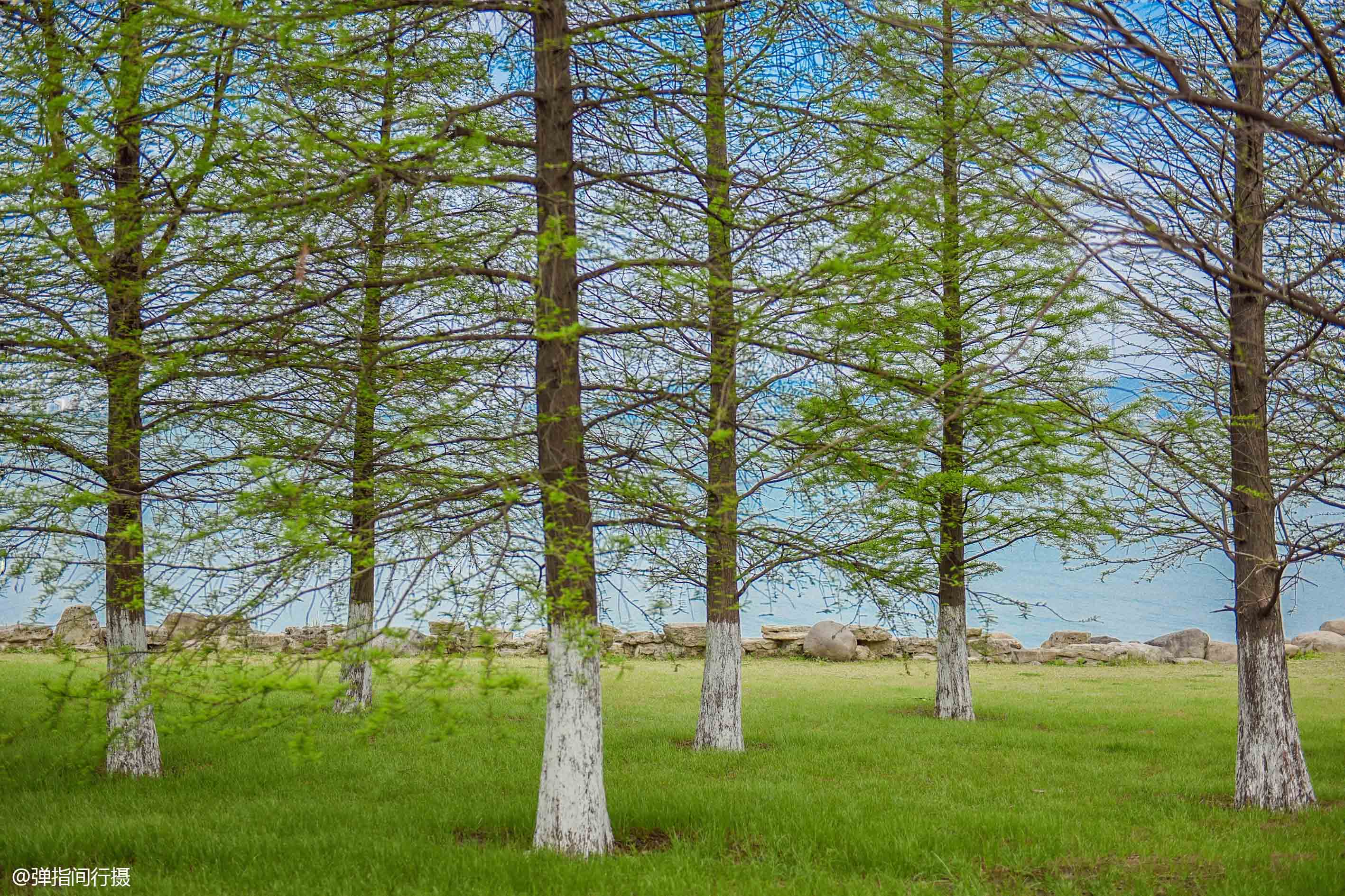 苏州太湖国家湿地公园值得去吗,苏州太湖湿地公园秘境