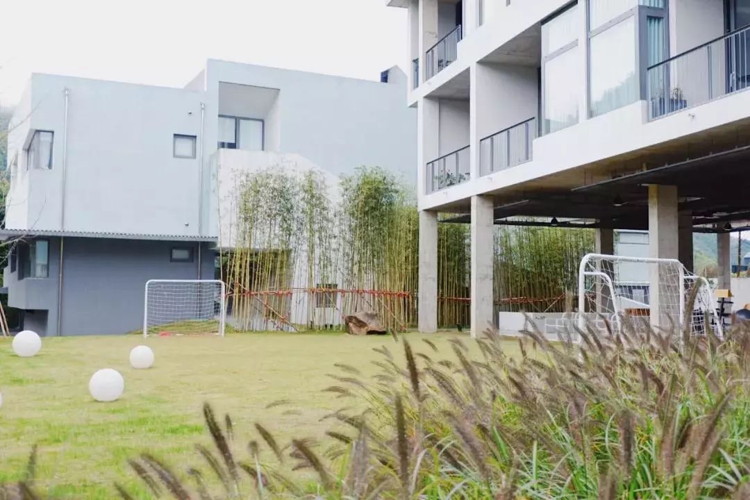 重回校园体验青春懵懂,重回校园体验大学生