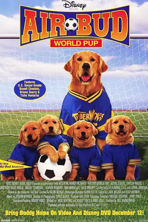 印度电影推荐大片9.0以上评分真实,最新动作电影推荐大片9.0以上评分