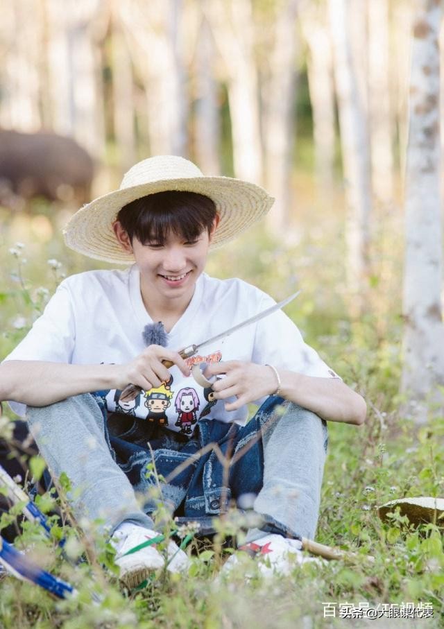 tfboys王源王俊凯图片,tfboys10周年神图王源