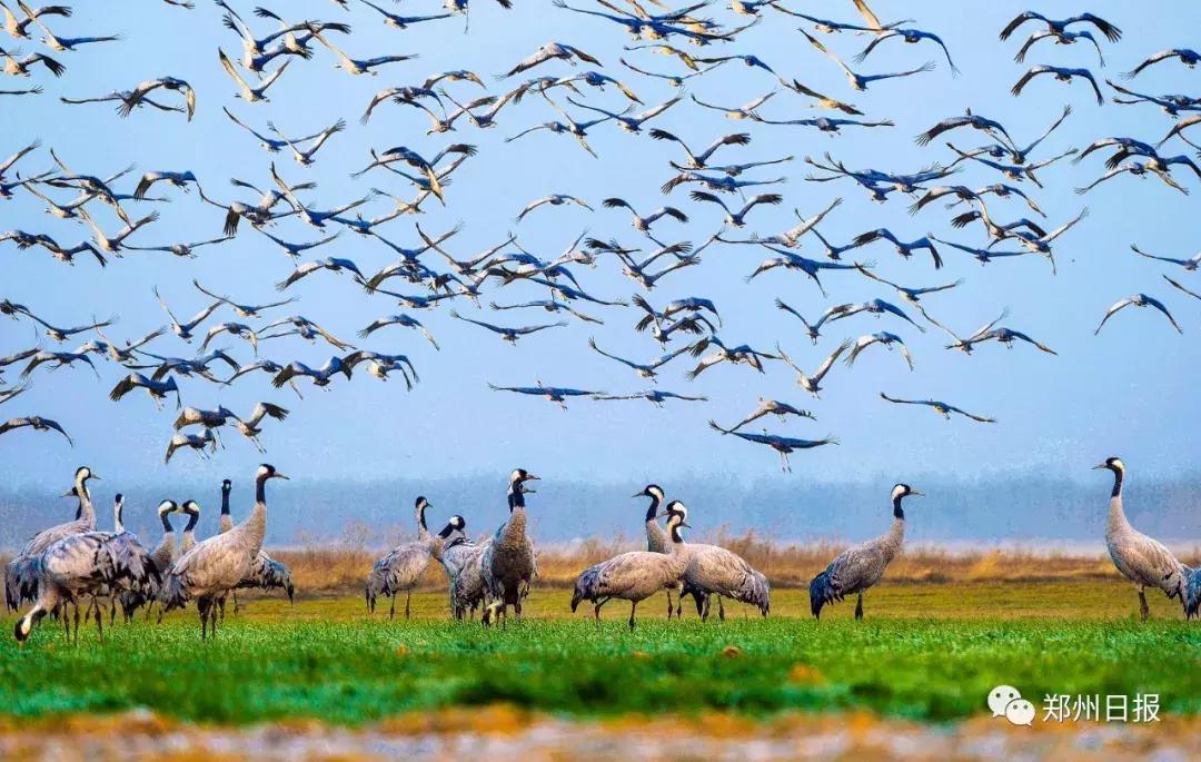 向世界推介郑州,郑州发展中牟区