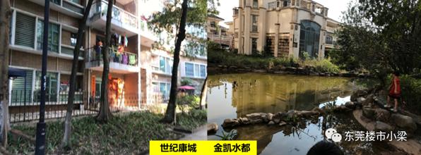 东莞常平碧桂园玫瑰臻园,东莞疫情最新楼盘