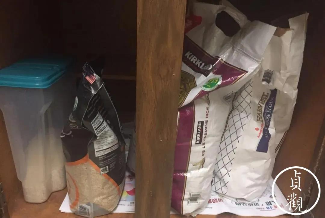 我在美国也买不到口罩