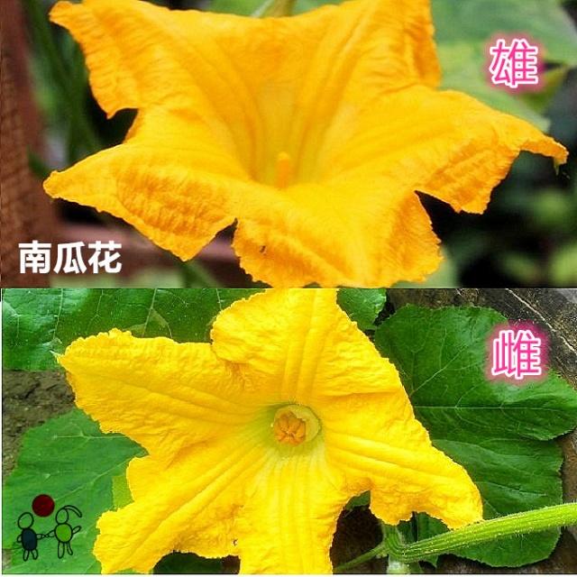 四年级下册生命生态与安全知识点,科学四年级1到2单元的知识点