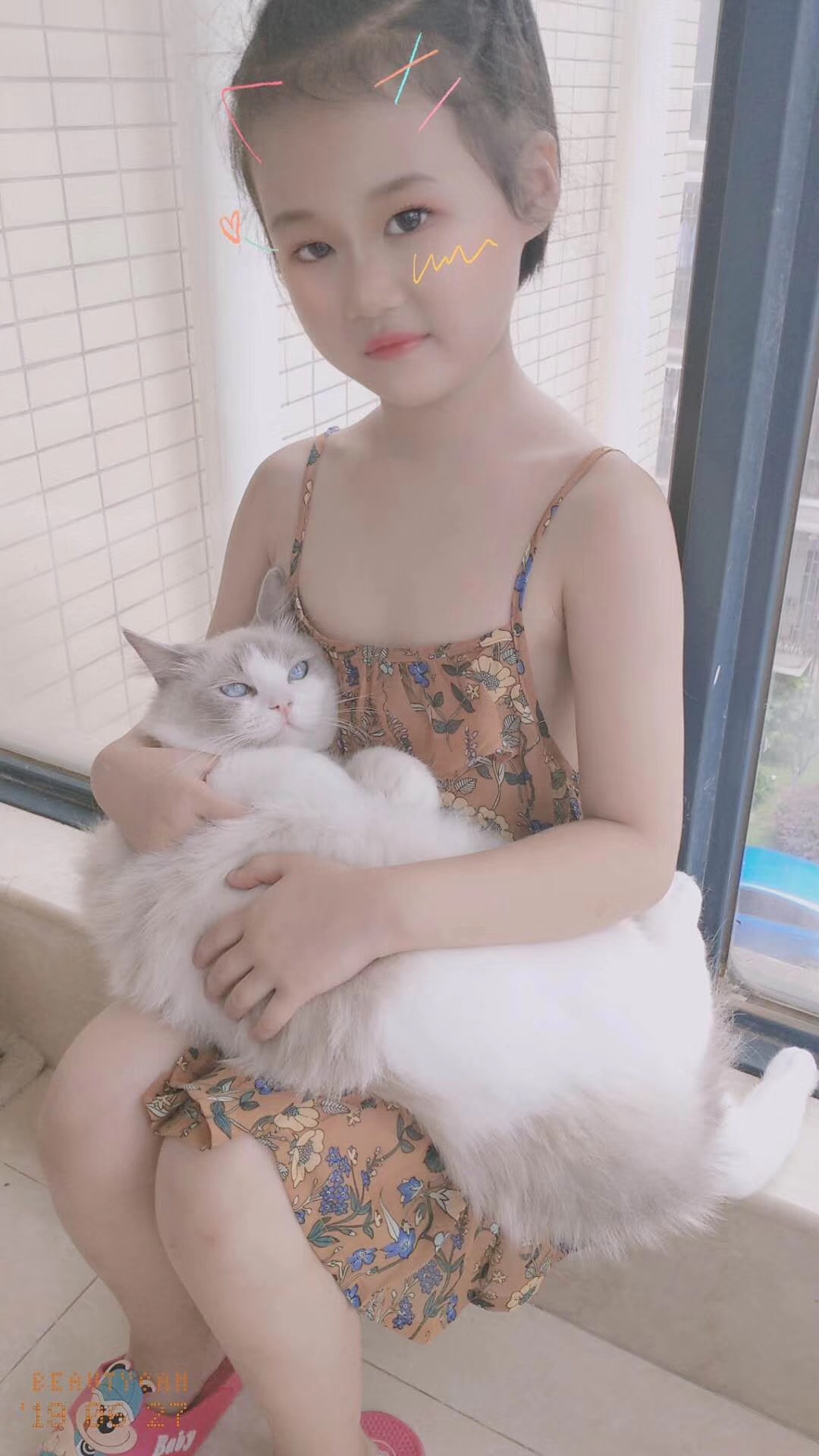 养一只布偶猫是什么感受啊,布偶猫好养吗有什么优点