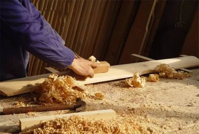 木头知识大全100条,木头种类大全及图片