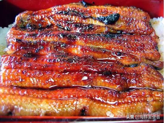 一般超市的鱼有几种,超市常见鱼品种