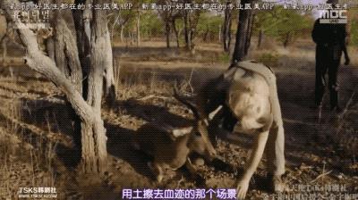 9.4分韩国催泪电视剧,韩国十部9.5评分催泪电影