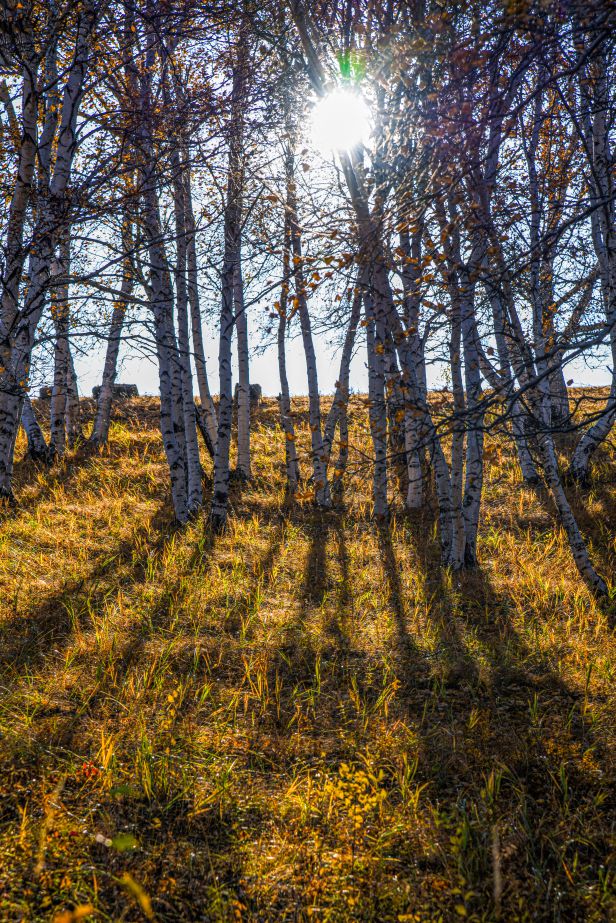 周洪涛上海,上海周洪涛摄影