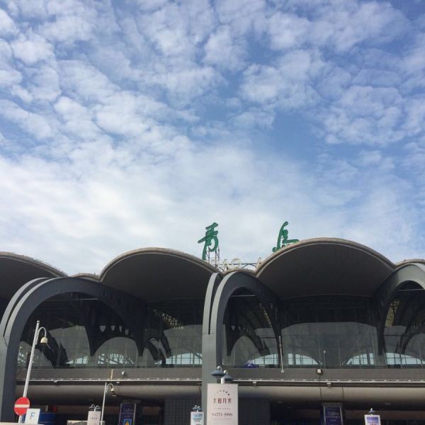 乌鲁木齐国际机场,上海浦东国际机场国际航班汇总