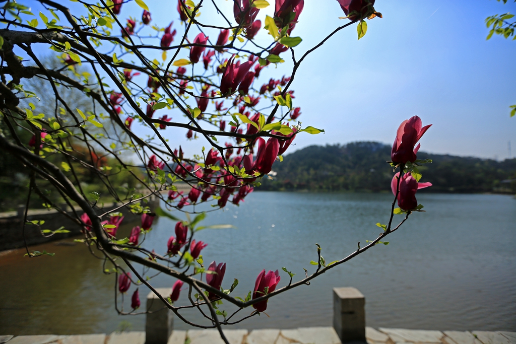 精行俭德对当今的意义,精行俭德的意思