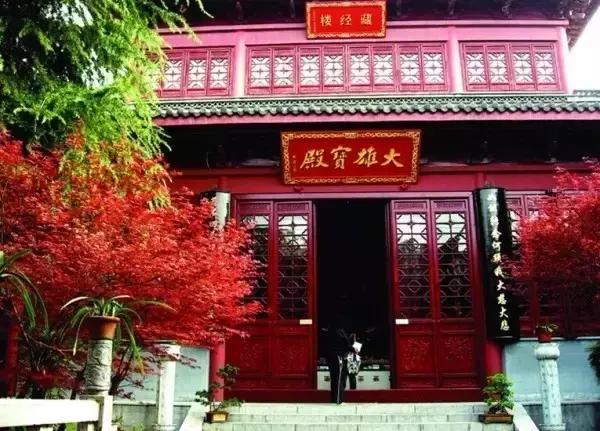 合肥秋季风景打卡地方排行榜,合肥最值得打卡地