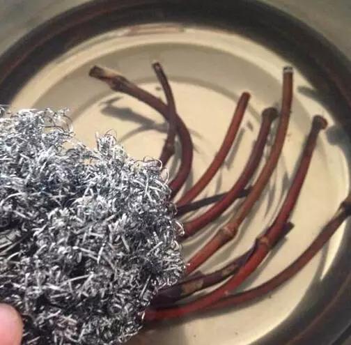 等疫情结束了我想回安徽,等疫情结束了我想回趟老家