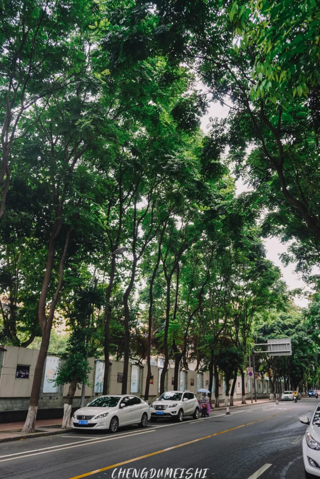 住在李家沱,成都李家沱和重庆李家沱