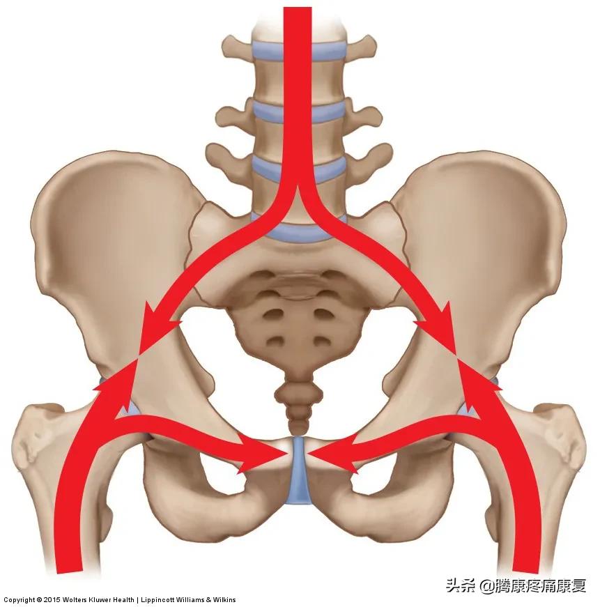 骶髂关节疼痛的原因一般是什么,骶髂关节夜间疼痛口服什么药品